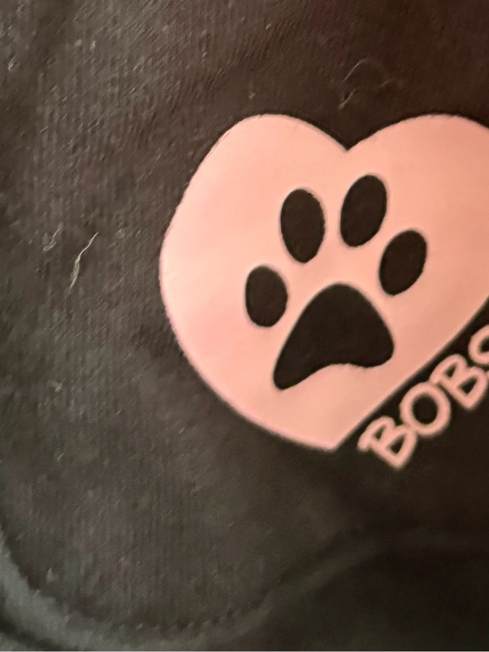 BOBS From Sketchers Black Hoodie Featuring a graphic cat